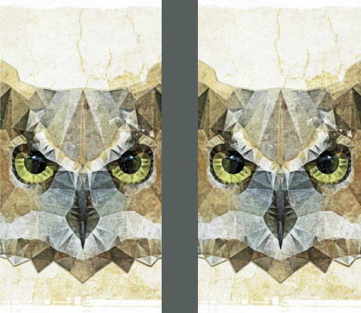 abstract owl handyhüllen