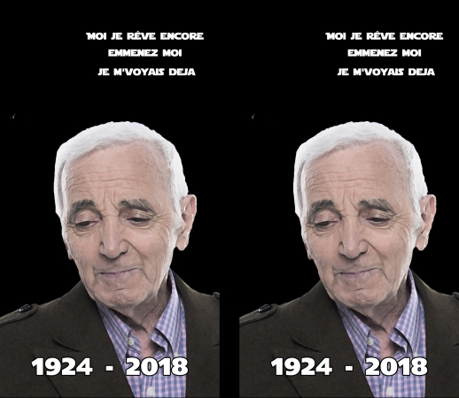 Aznavour Hommage Fan Tribute handyhüllen