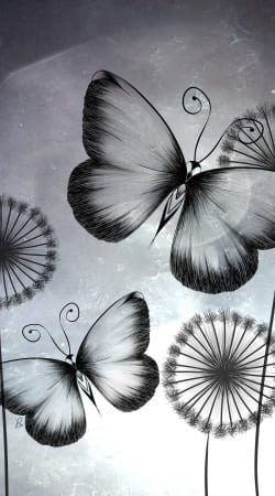 Butterflies Dandelion hülle