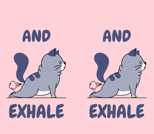 Cat Yoga Exhale handyhüllen