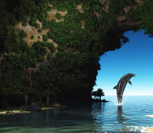 Dolphin in a hidden cave handyhüllen