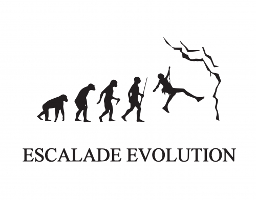 Escalade evolution handyhüllen
