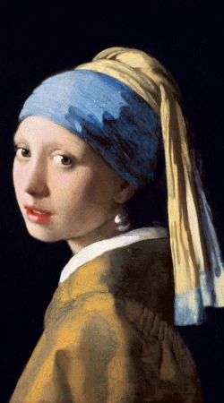 Girl with a Pearl Earring handyhüllen