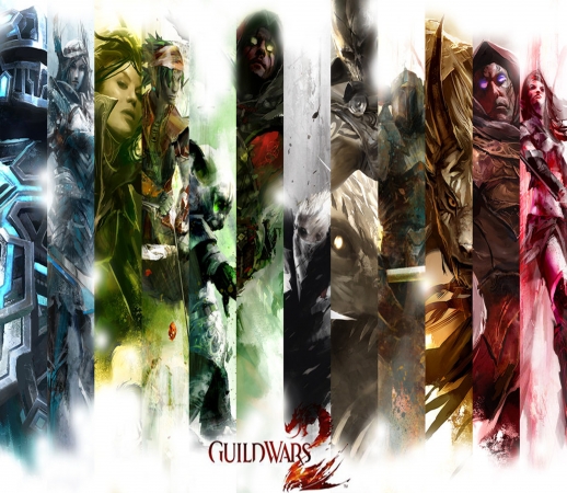 Guild Wars 2 All classes art handyhüllen
