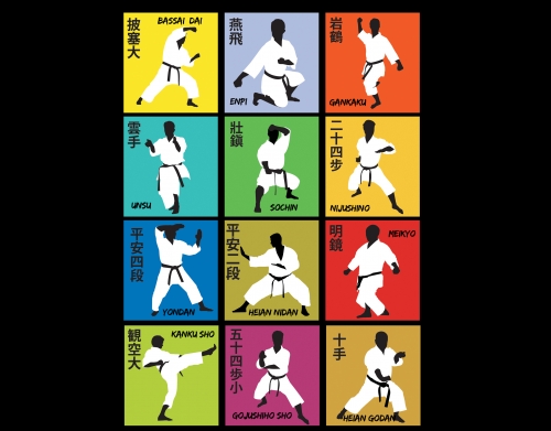 Karate techniques handyhüllen