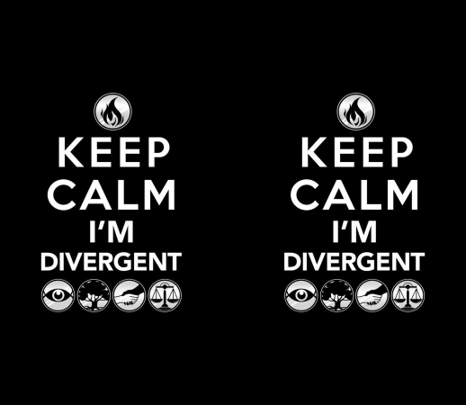 Keep Calm Divergent Faction handyhüllen