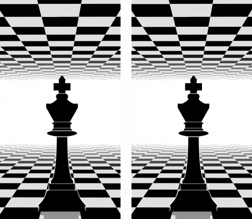 King Chess handyhüllen