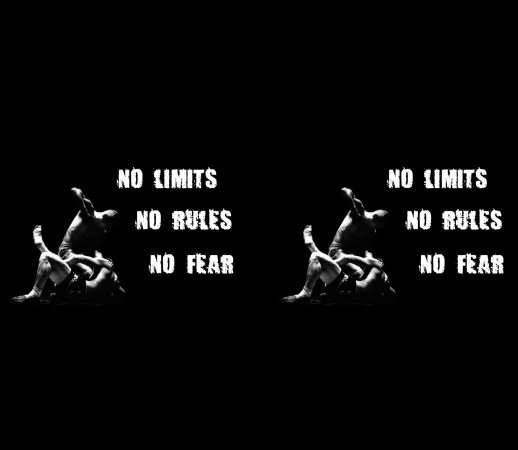 MMA No Limits No Rules No Fear handyhüllen