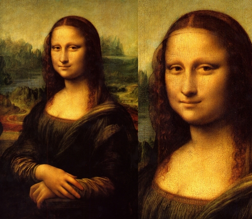 Mona Lisa handyhüllen