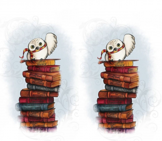 Owl and Books handyhüllen
