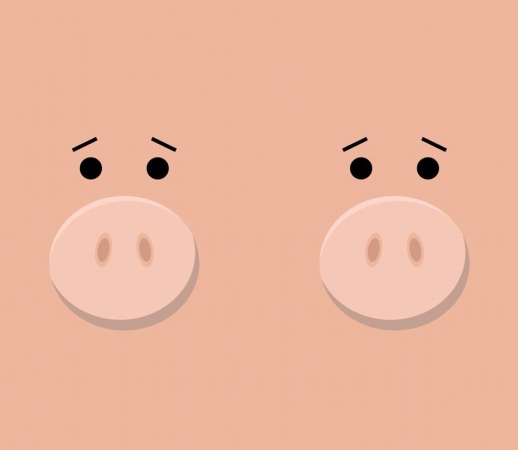 Pig Face handyhüllen