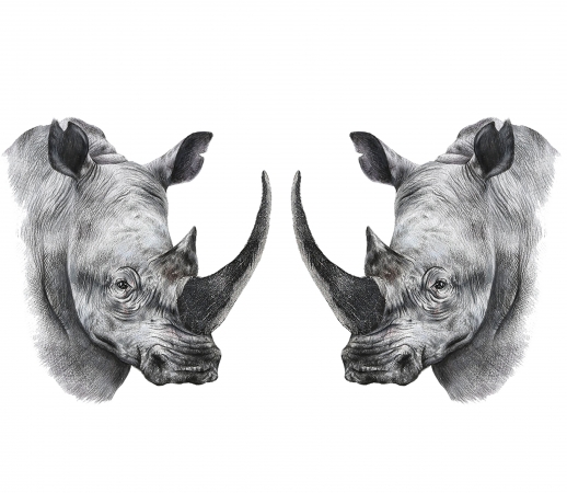 Rhino Shield Art handyhüllen