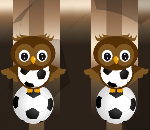 Soccer Owl handyhüllen