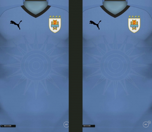 Uruguay World Cup Russia 2018  handyhüllen