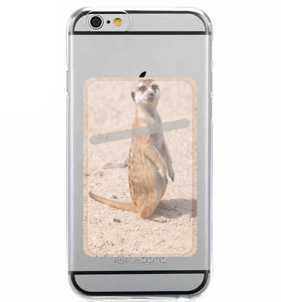 Meerkat für Slot Card