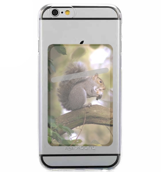 squirrel gentle für Slot Card