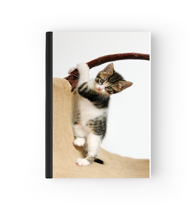 Baby Katze, niedliches Kätzchen klettert für Passhülle