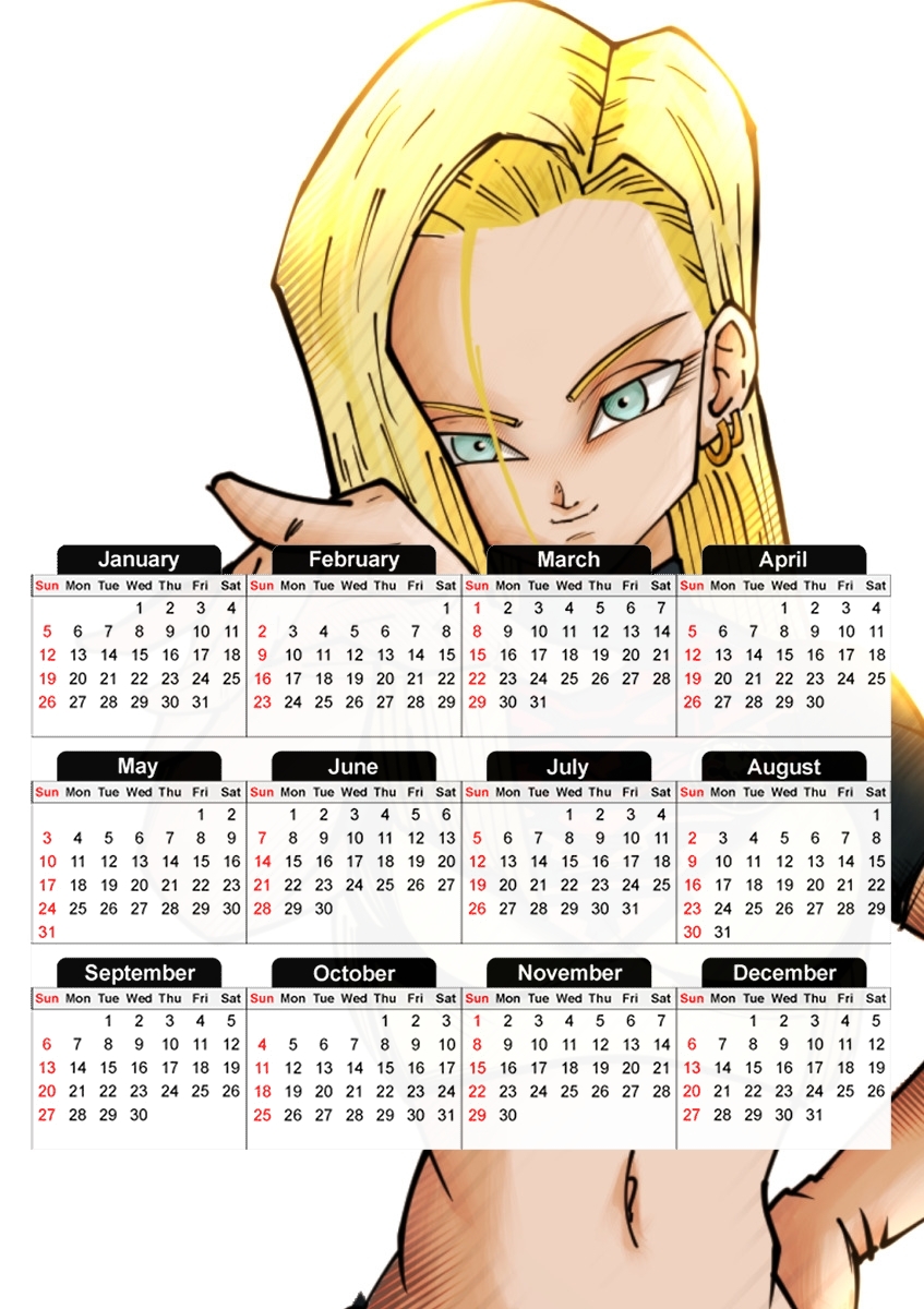 18 Android  für A3 Fotokalender 30x43cm