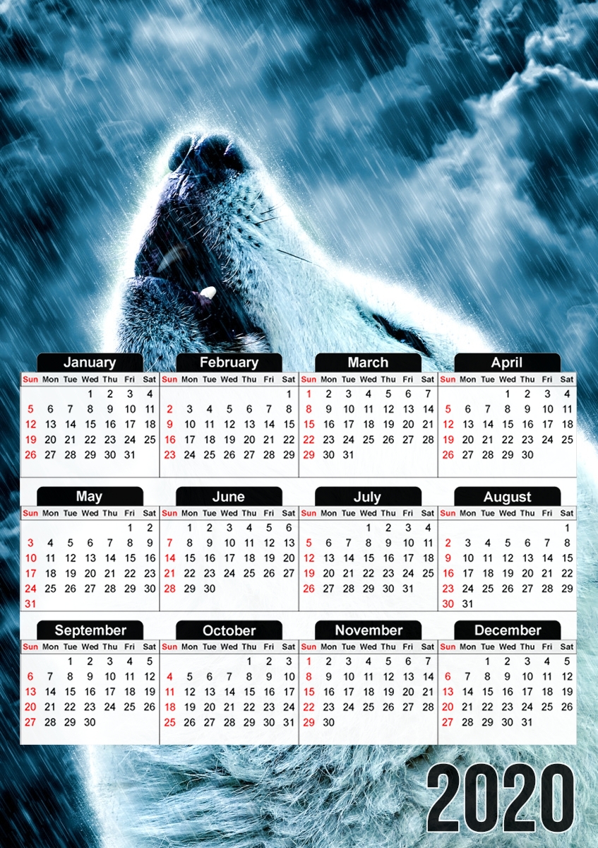 A howling wolf in the rain für A3 Fotokalender 30x43cm