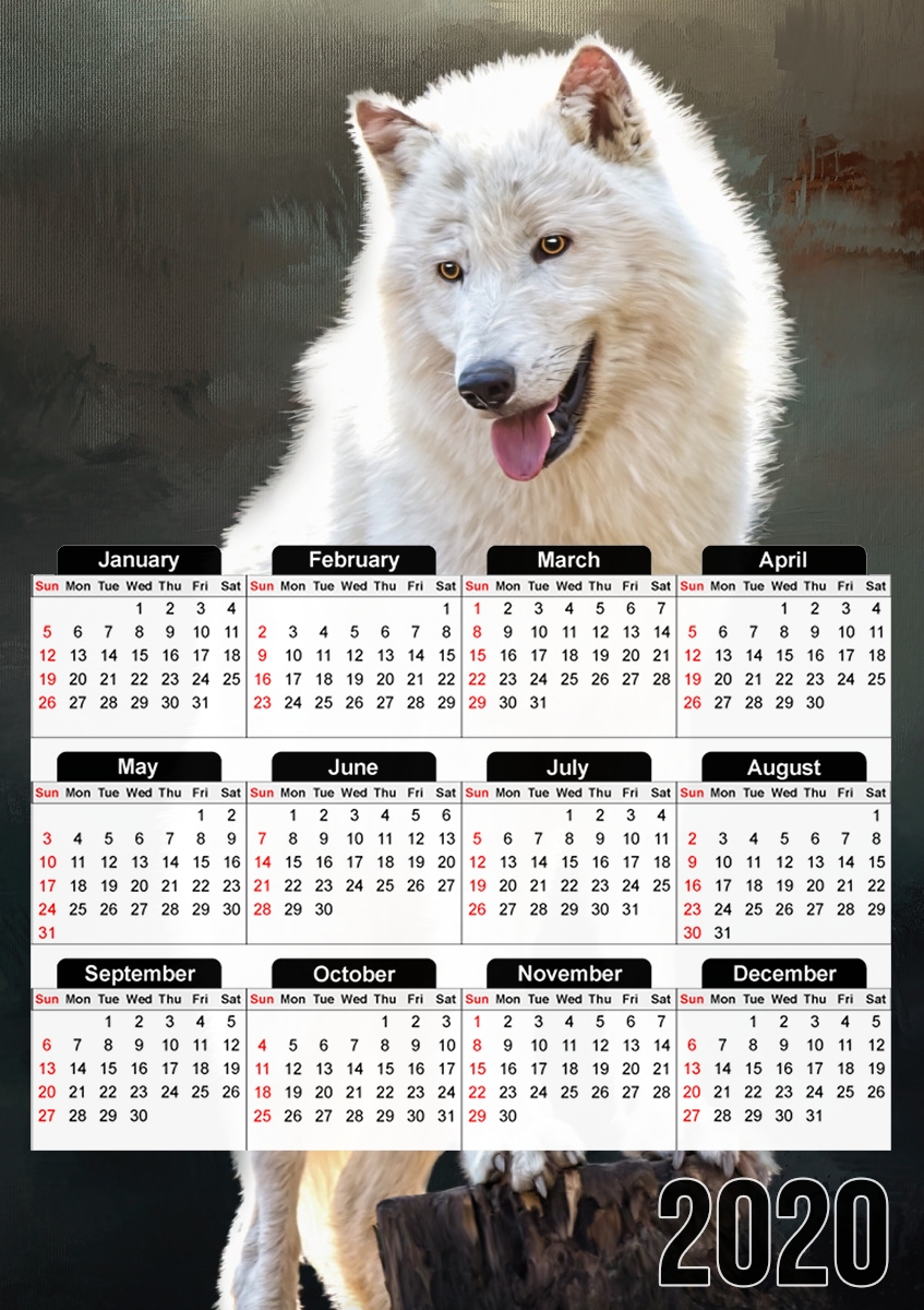 Arctic wolf für A3 Fotokalender 30x43cm