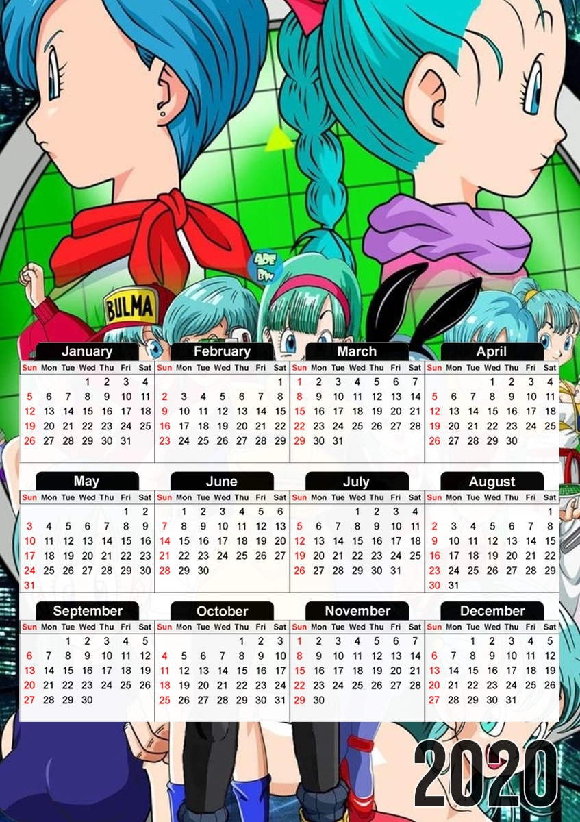 Bulma Dragon Ball super art für A3 Fotokalender 30x43cm