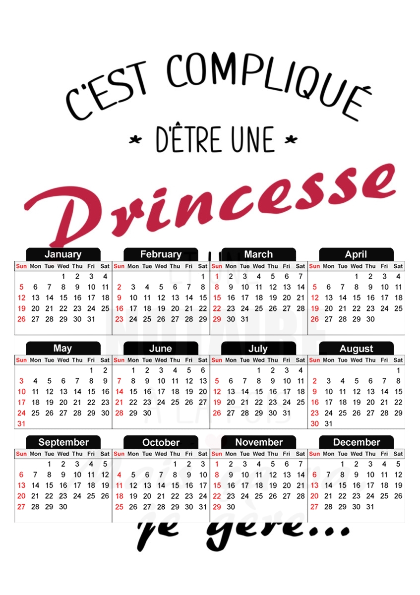 C est complique princesse et notaire a la fois für A3 Fotokalender 30x43cm