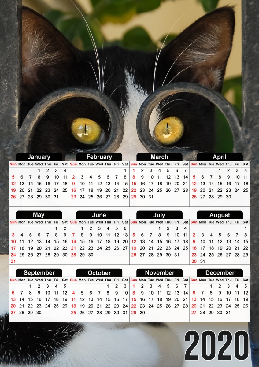 Katze mit Brille, sie schaut durch einen schmiedeeisernen Zaun  für A3 Fotokalender 30x43cm