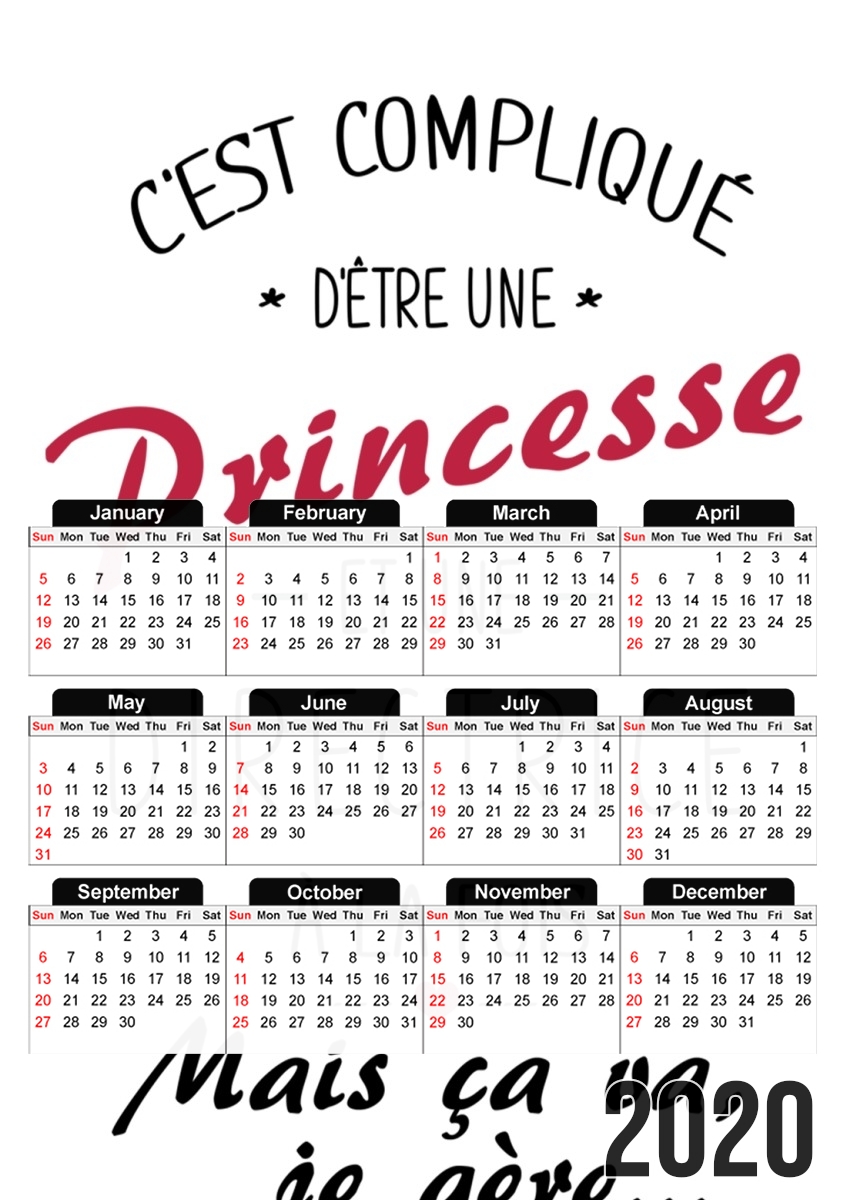 Cest complique detre une princesse et une directrice für A3 Fotokalender 30x43cm