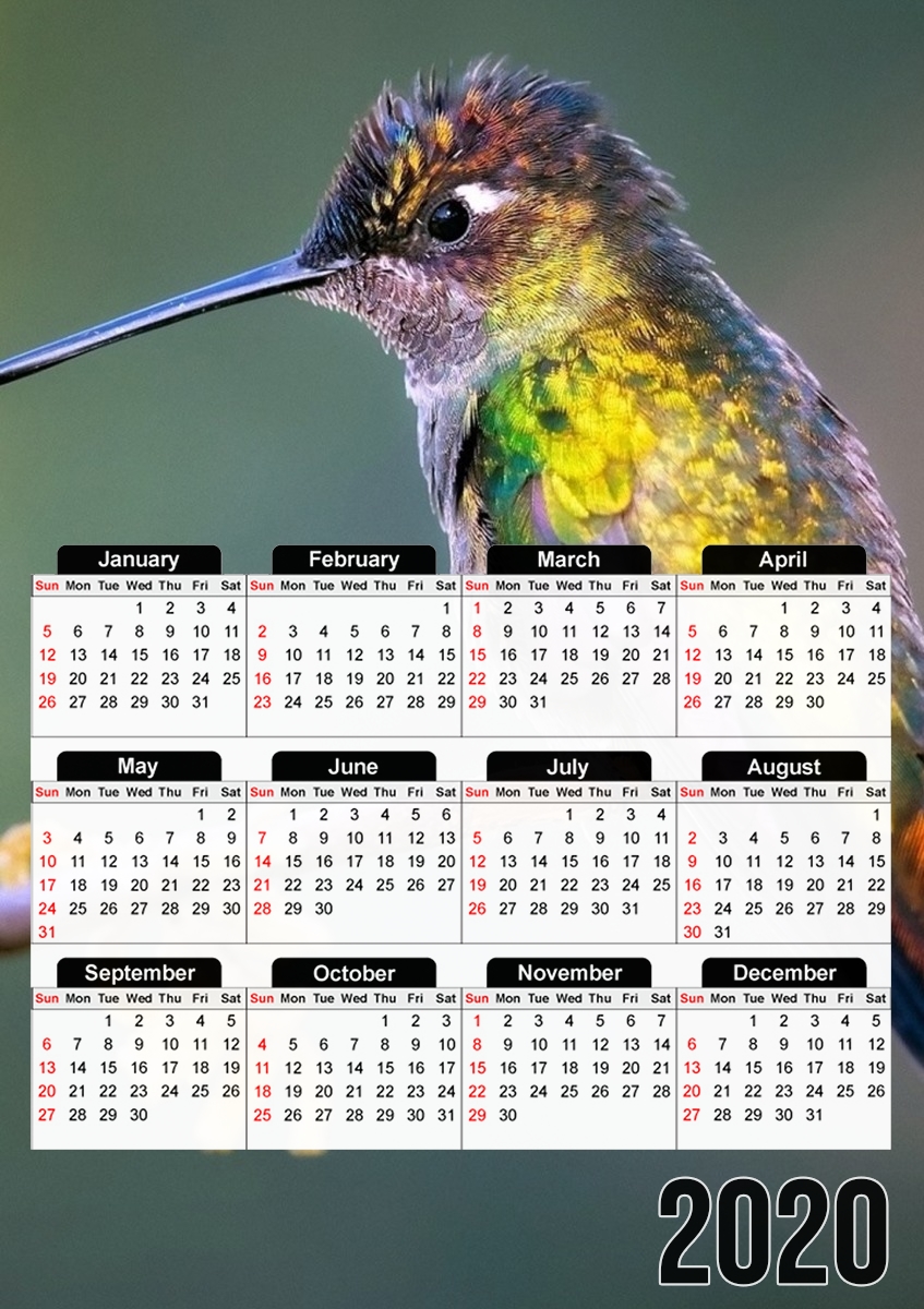 Colobri Birl Colo für A3 Fotokalender 30x43cm