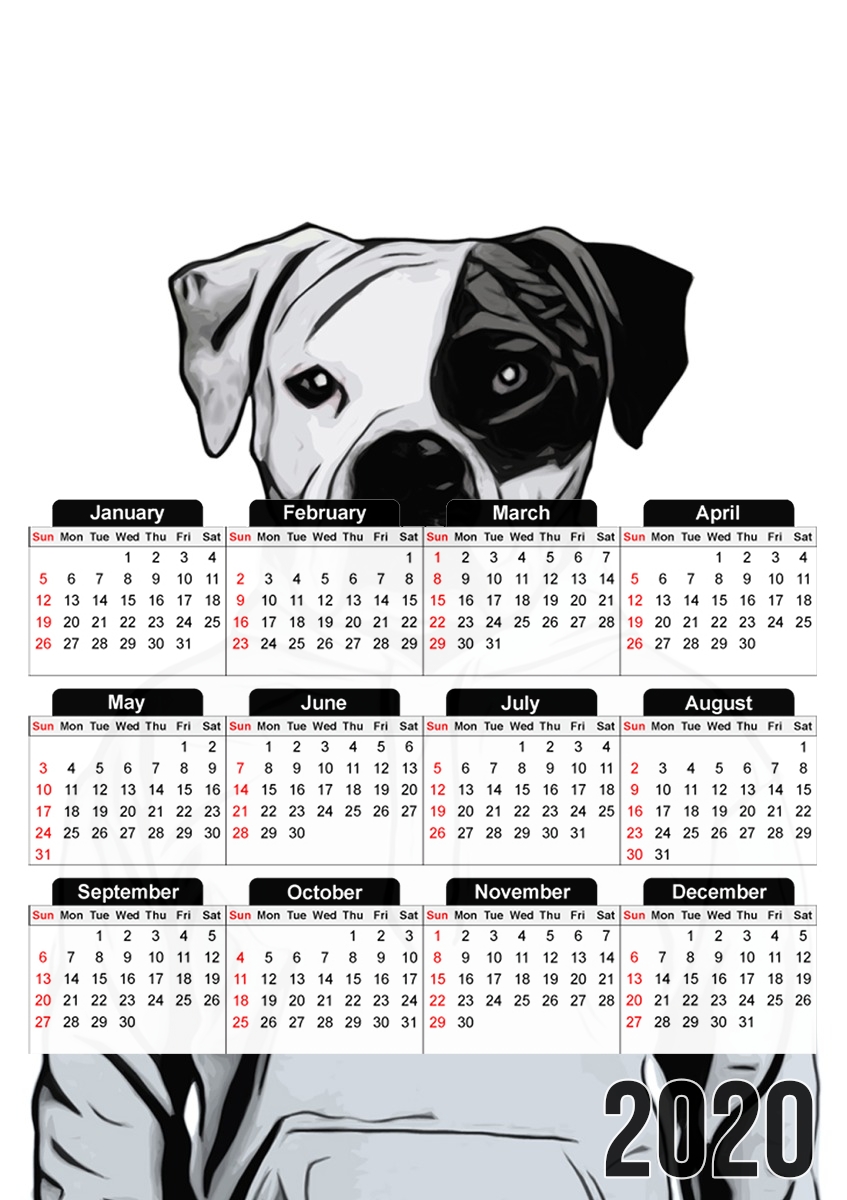 Cool Dog für A3 Fotokalender 30x43cm