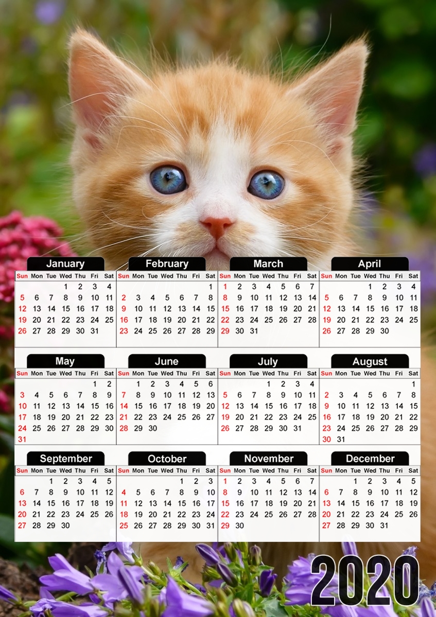 Niedliches Katzenkind, rot tabby Katze im blühenden Garten  für A3 Fotokalender 30x43cm