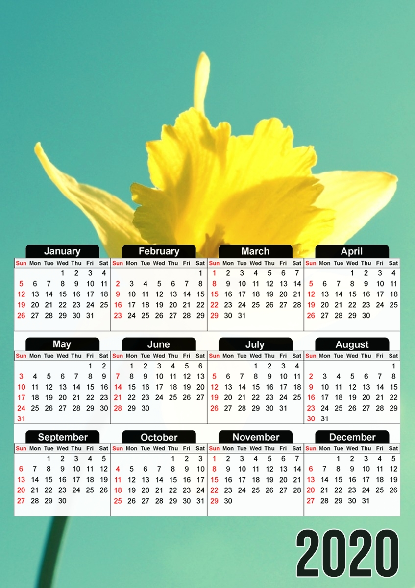 Daffodil für A3 Fotokalender 30x43cm