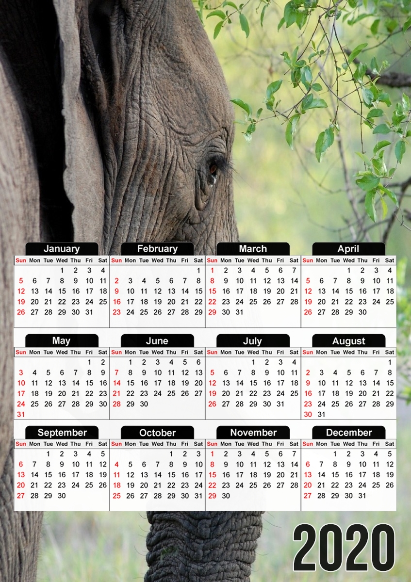 Elephant für A3 Fotokalender 30x43cm