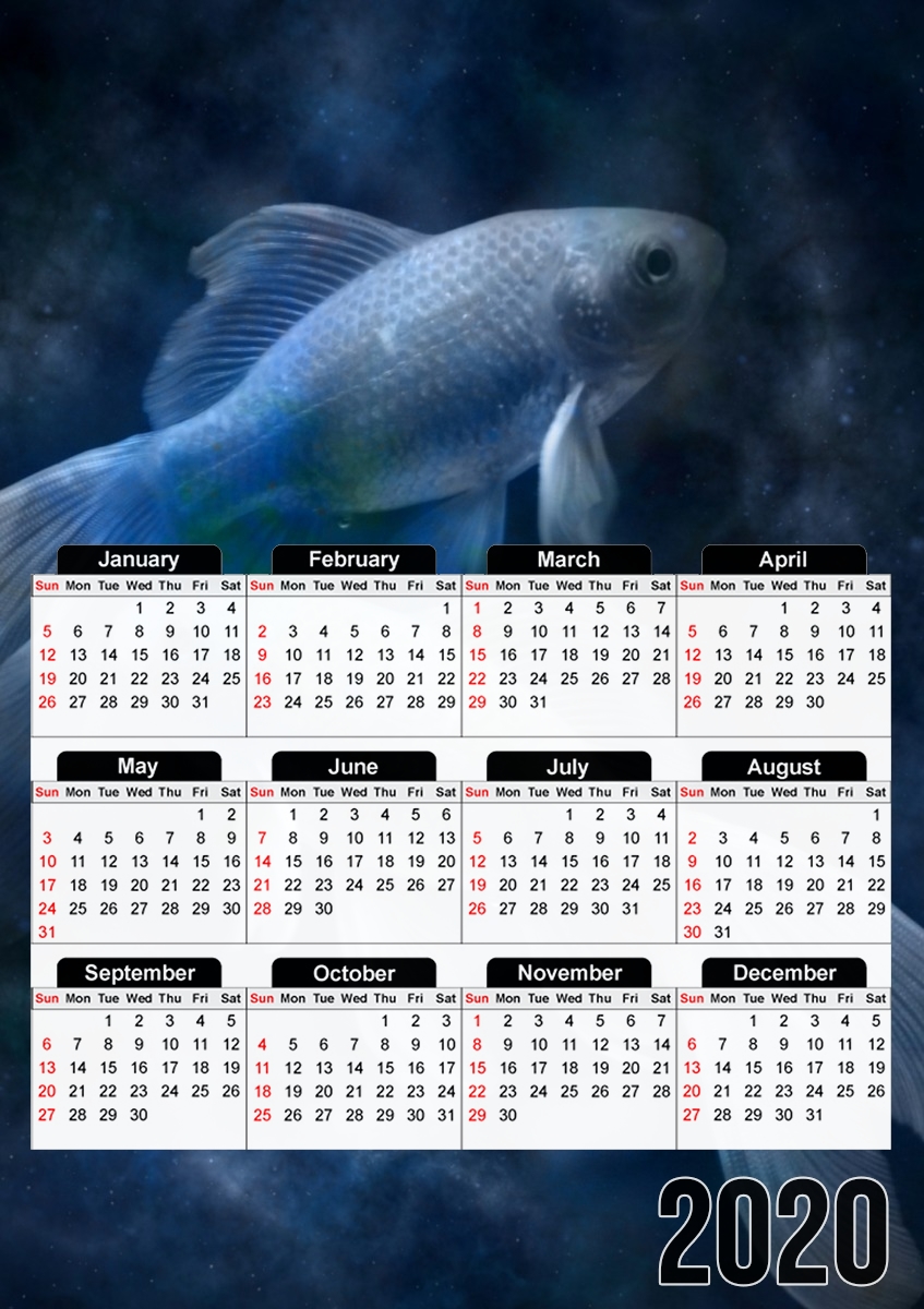 Fish Style für A3 Fotokalender 30x43cm