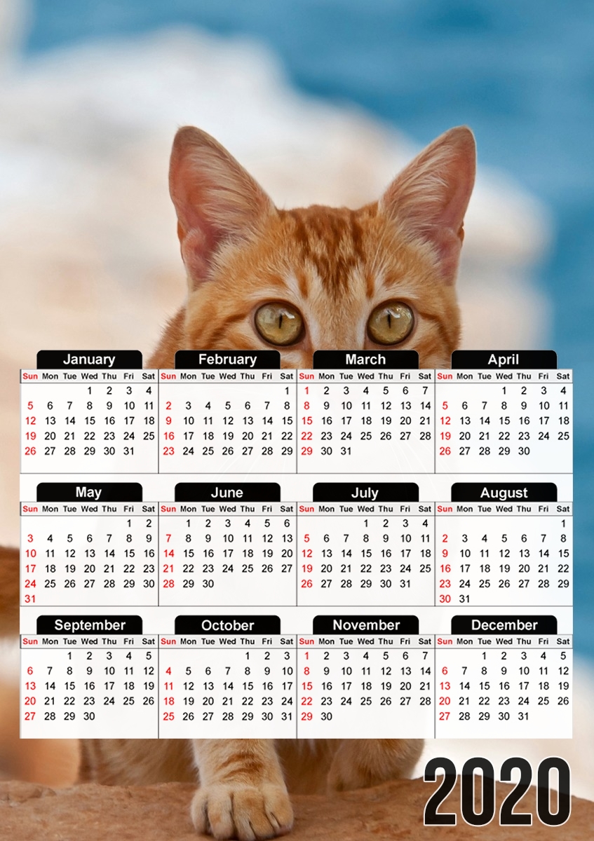 Rotgetigerte Katze auf einer Klippe für A3 Fotokalender 30x43cm