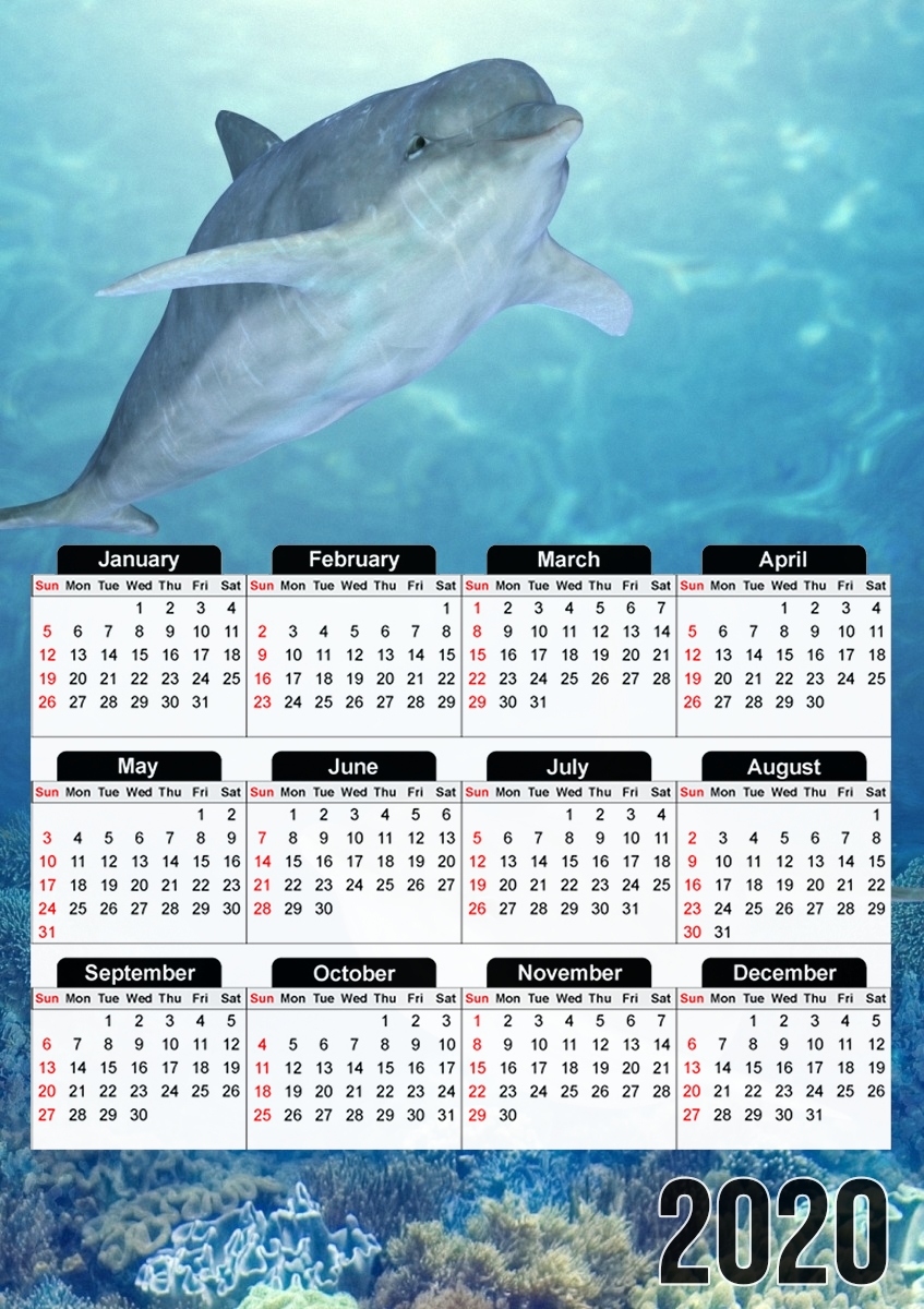 happy dolphins für A3 Fotokalender 30x43cm