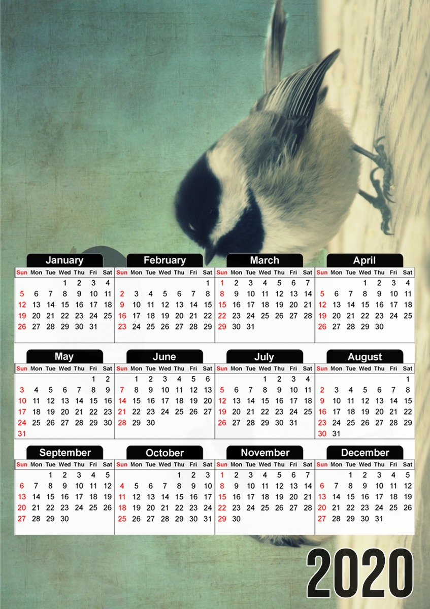 Hello Birds für A3 Fotokalender 30x43cm