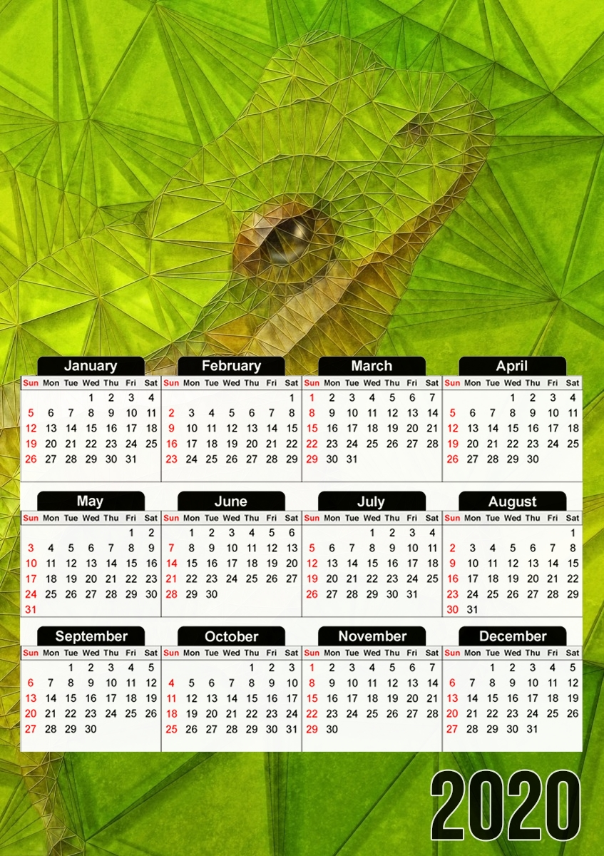 hidden frog für A3 Fotokalender 30x43cm