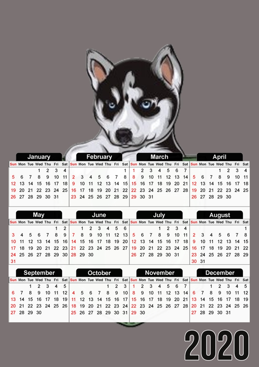 Husky Dog in the pocket für A3 Fotokalender 30x43cm