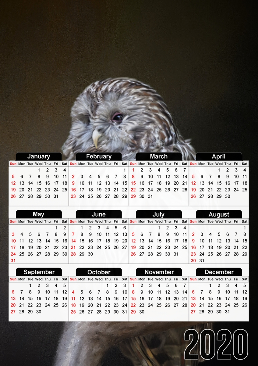 Lovely cute owl für A3 Fotokalender 30x43cm