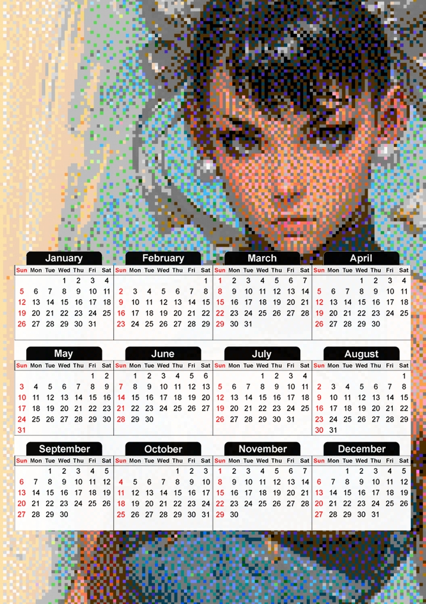 Miss Chun-Li für A3 Fotokalender 30x43cm