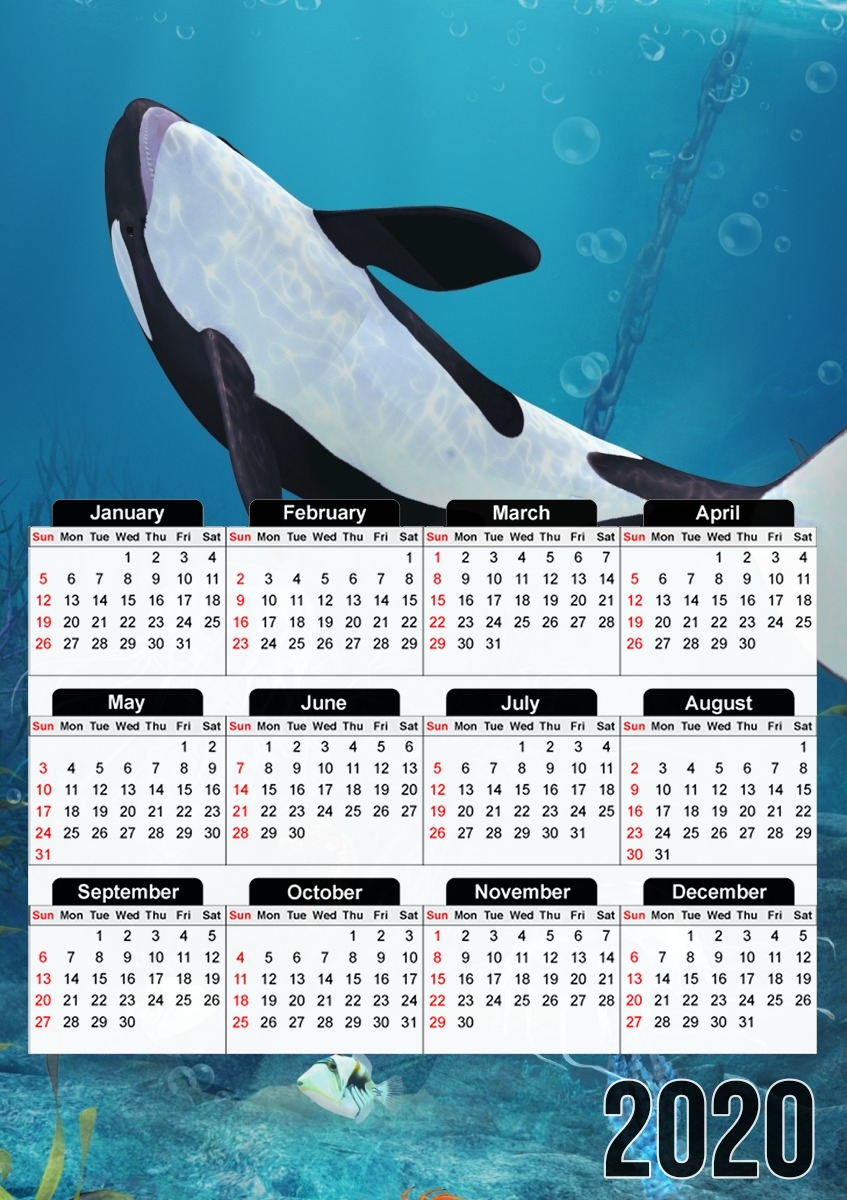 Orca II für A3 Fotokalender 30x43cm