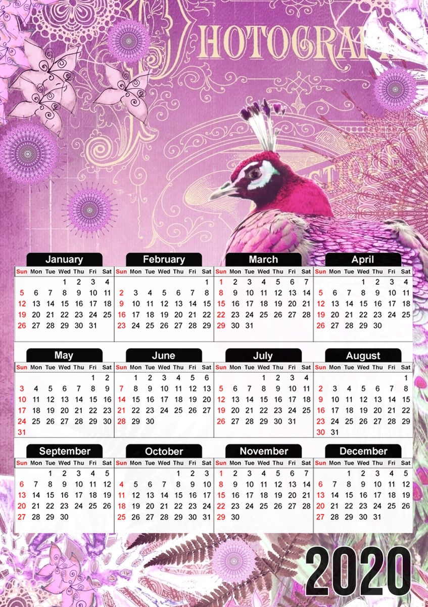 PINK PEACOCK für A3 Fotokalender 30x43cm