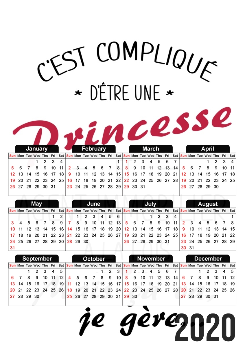 Princesse et agent immobilier für A3 Fotokalender 30x43cm