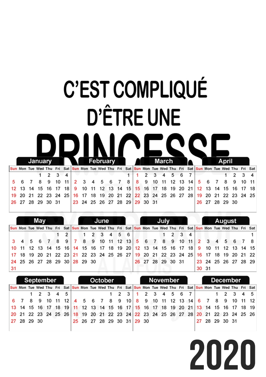 Psychologue et princesse für A3 Fotokalender 30x43cm