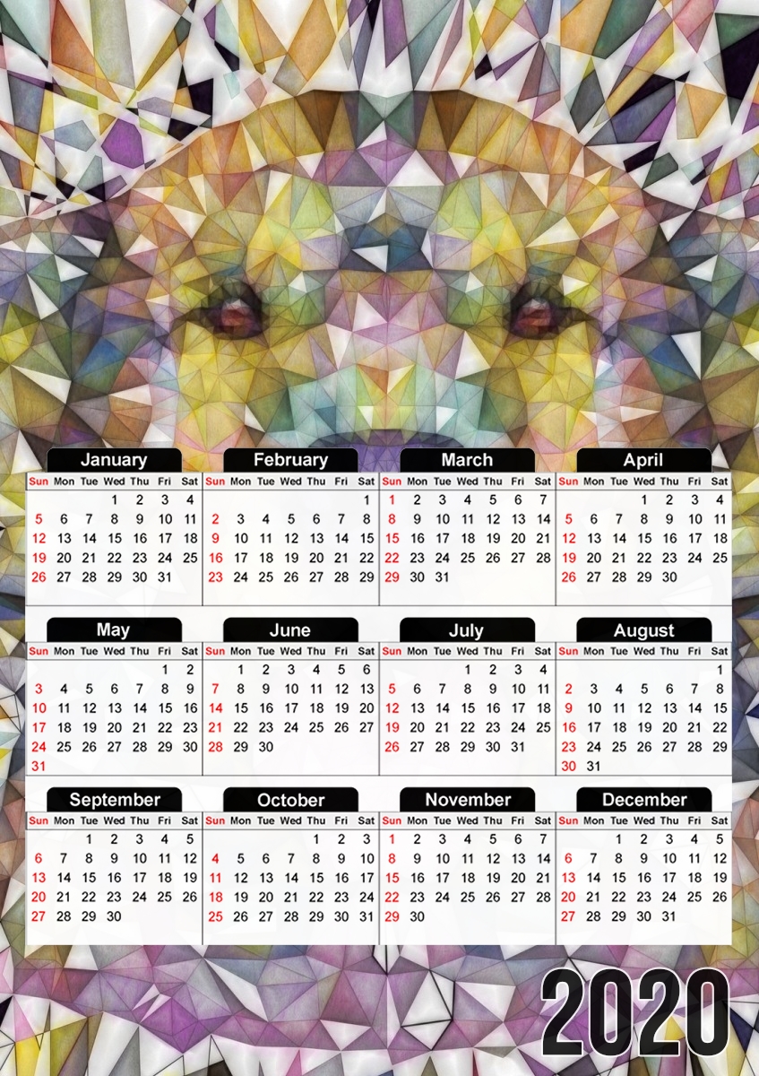 rainbow dog für A3 Fotokalender 30x43cm