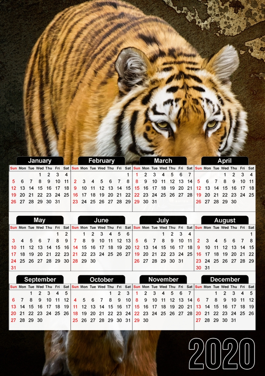 Siberian tiger für A3 Fotokalender 30x43cm