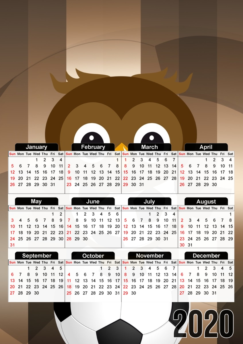 Soccer Owl für A3 Fotokalender 30x43cm