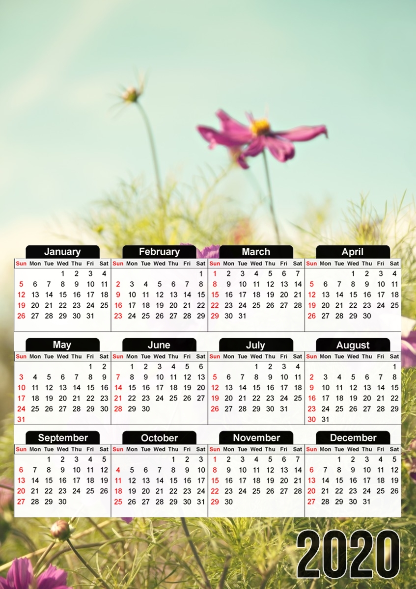 summer cosmos für A3 Fotokalender 30x43cm