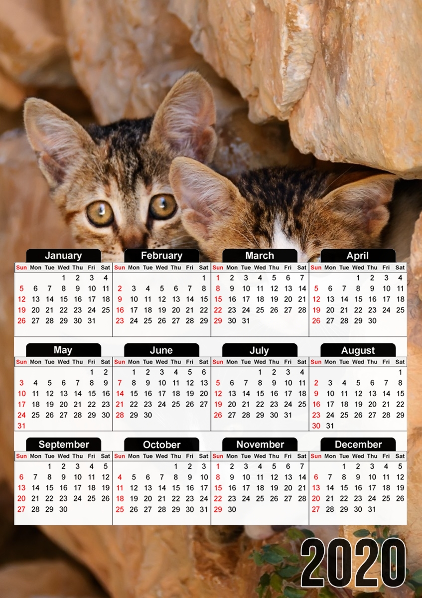 Drei kleine süssen Katzen in einem Mauerloch für A3 Fotokalender 30x43cm